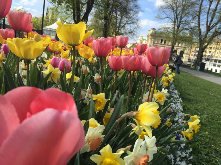 Våren kommer i Uppsala.. :)